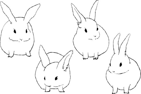 うさぎの線画イラスト