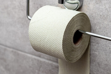 Toilet paper on the holder in the toilet