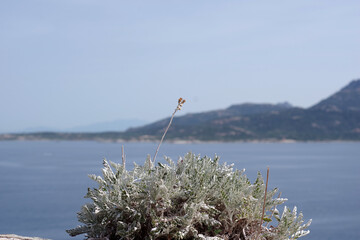 Vue sur la Méditerranée
