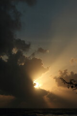 set of pictures of the beauty of nature in the morning