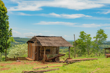 rural life system in Misiones. rural field work in mission colonies. crops of corn, cassava, yerba mate. pasture and cattle production.