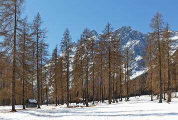 View to snow covered mountain peaks of the Sesto Dolomites in Winter. Alps, South Tyrol, Alto Adige, Italy, Europe