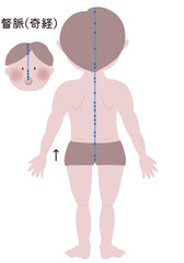奇経八脈の督脈の流注を男性の身体で表したイラスト