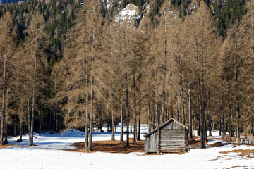 Old wooden huts in a mountain forest in late winter, Alps, Europe