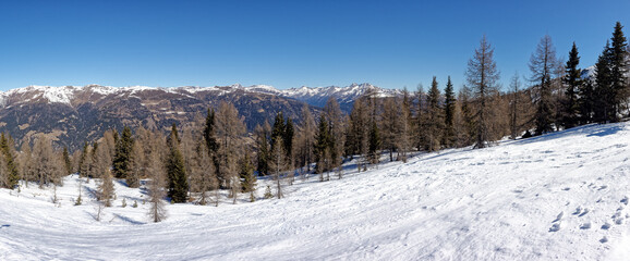 Obraz na płótnie Canvas Panoramic view to snow covered mountain peaks of the Carnic Alps in Winter. South Tyrol, Alto Adige, Italy, Europe