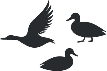 Duck silhouette. Isolated duck on white background. Bird