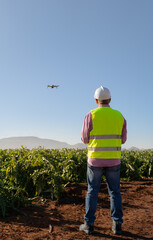 Agronomist with a drone over a sustainable crop field. Experienced older man. in the background some mountains and a wind farm. Technology concept for agronomy industry, ecology. vertical photo