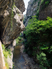 Vista cenital de las rocas sobre un paso estrecho del río con poca agua, abajo con piedras en la orilla y árboles verdes alrededor en verano de 2021