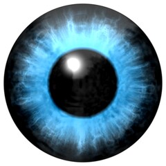 Human blue eye iris. Isolated blue eye in detail with light reflection