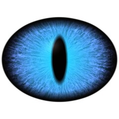 lue dragon eye. Isolated big elliptic eye with dark thin pupil - 557429808