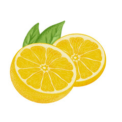 Naklejka na ściany i meble Lemon illustration, color painting.
