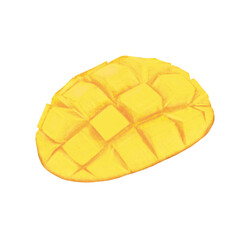 Mango fruit illustration.