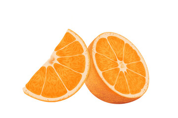 Orange illustration, color painting.