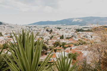 View of white stone buildings in old part of Athens, Greece with palms and green zone in city