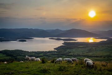 Photographie de paysage d'un coucher de soleil sur le loch lommond écossais depuis conic hill (balmaha) avec des moutons en avant-plan
