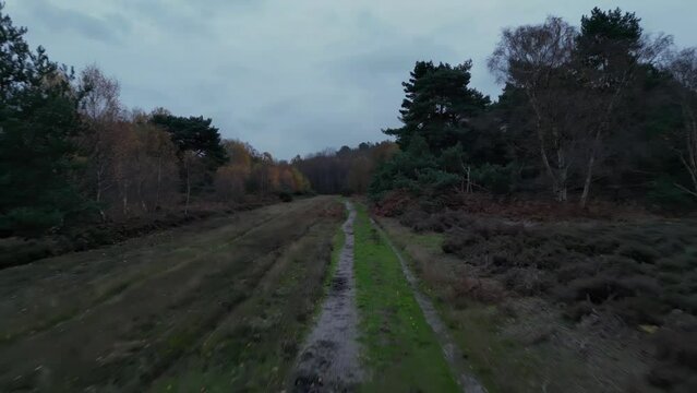 4k drone footage moving along a footpath in Rendlesham Forest, Suffolk, UK