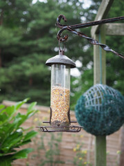 A plastic tube birdfeeder containing mixed seeds hanging from a bracket