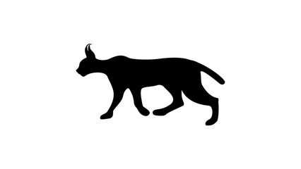 caracal silhouette