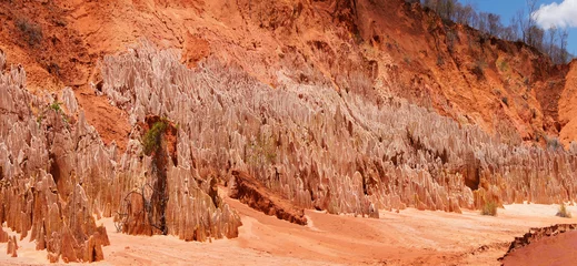 Fotobehang Koraal Tsingy Rouge Canyon, Diego Suarez - Madagascar  © Eduardo