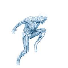 average man muscle maps is doing a parkour pose number fourteen