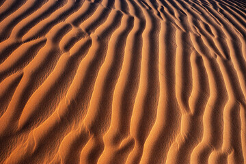 Sandwüste in der Rimal al Wahiba Wüste,Oman,