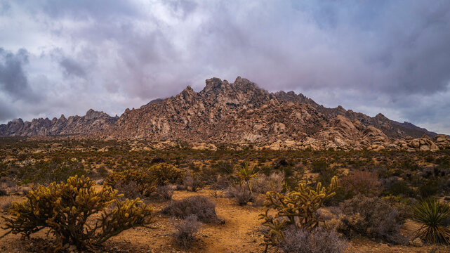 Mojave National Preserve Desert Wilderness Landscape Series, Dramatic cloudscape over Granite and Silver Peaks, view from Boulders Viewpoint Area, in Essex, California, USA