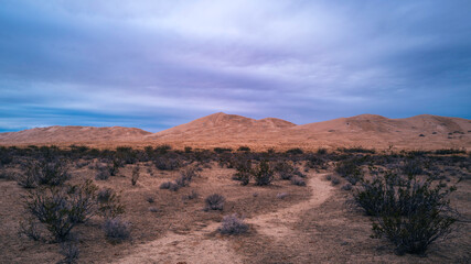 Fototapeta na wymiar Mojave National Preserve Desert Wilderness Landscape Series at dusk, Dramatic cloudscape over Kelso Dunes Trail, in Essex, California, USA