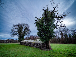 Brennholzlager auf einer Streuobstwiese © focus finder