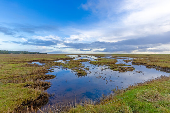 Picture over the Danish Skallingen National Park town Esberg during the day