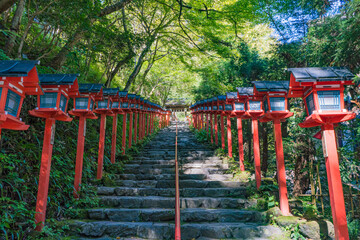 京都の貴船神社の灯籠階段