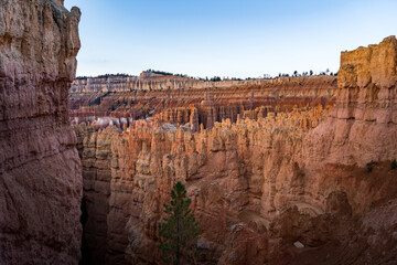 view into canyon of bryce canyon at sunrise