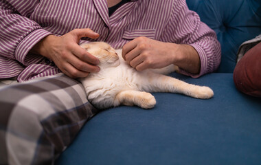 young man with his cute cat on the couch at home.