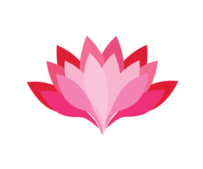 Paper flower. Colorful lotus cut from paper. Wedding decorations.