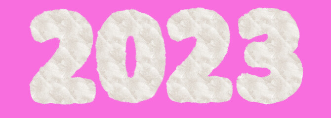 Pink background and inscription 2023. Furry funny design for the 2023 calendar on a pink background. 3D image rendering.