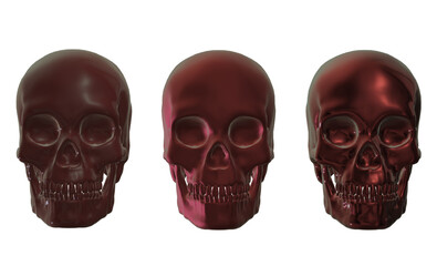 skull skeleton human