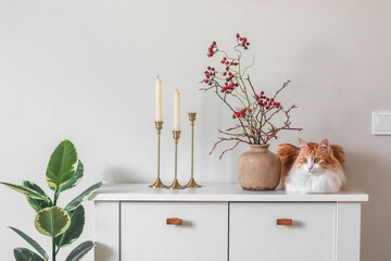 Beautiful red cat, decor, candles in candlesticks on a white chest of drawers in the living room