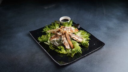 grilled chicken and halloumi salad cheese over a bed of lettuce drizzled with balsamic sauce served in dish isolated on table top view of arabic food