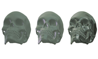 skull skeleton human