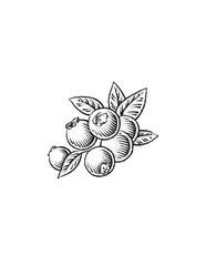 blueberries and leaves