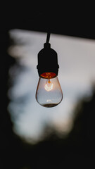 Vertical photo of Incandescent light bulb with dark background