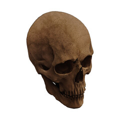 Human Skull Fossil Variant 3 Digital Art By Winters860 Isolated, Transparent Background 