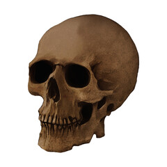 Human Skull Fossil Variant 2 Digital Art By Winters860 Isolated, Transparent Background 
