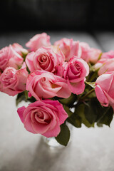 Light pink roses close up photo