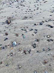 rocks on the beach