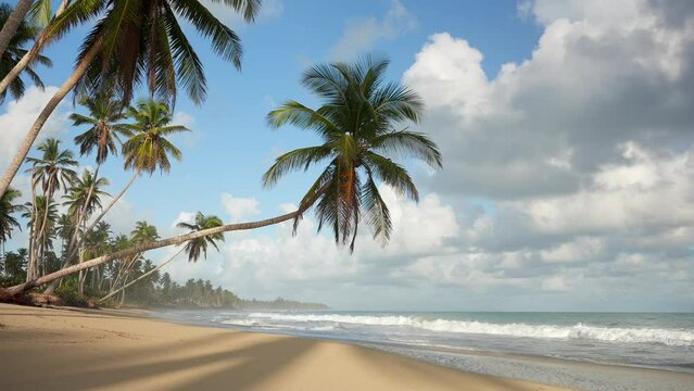 Coconut palm tree hanging over the shore of tropical deserted beach without people. Waves of turquoise water on the sand
