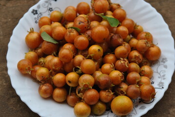 orange fruits are ripe