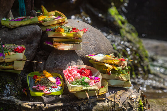 Traditional balinese offerings to gods in Bali with flowers and aromatic sticks