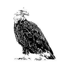 black and white drawing sketch of a bird with transparent background for learning to color