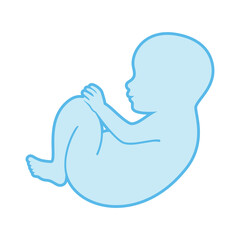 Cute baby boy newborn blue outline icon vector. Baby in fetal position graphic design element isolated on a white background. Adorable newborn silhouette drawing