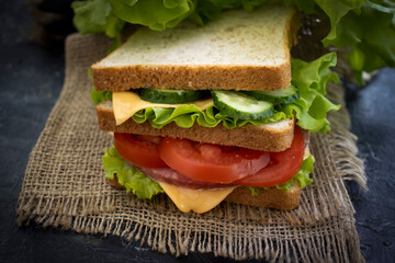 Sandwich with cheese, sausage, tomato, lettuce, blue onion on old background